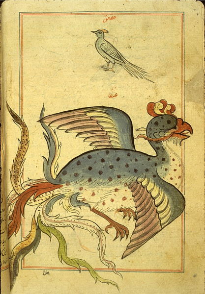 The Myth And The Legend of Phoenix Bird – RankRed