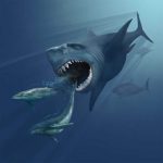 Megalodon: The Biggest Shark Ever Existed | How They Went Extinct? – RankRed