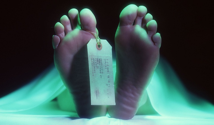 Human Bodies Keep Moving For 17 Months After Death – RankRed