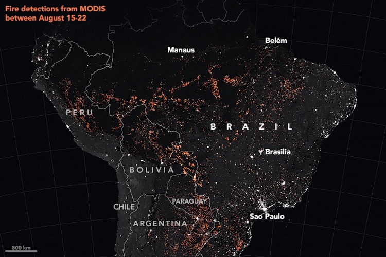 Satellite View Shows Amazon Rainforest Fires Have Become Worse – RankRed