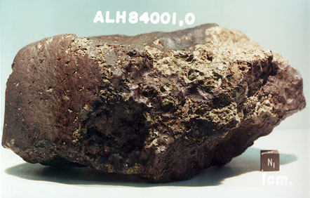 Antarctic meteorite