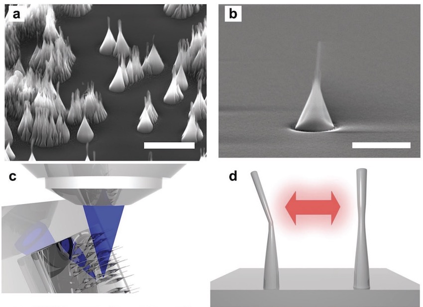 deformation of diamond nanopillar